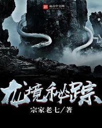 龙境迷踪 宗家老七