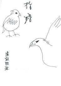 指婚太后命
