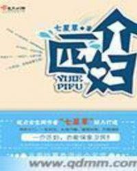 一介妇人是什么意思