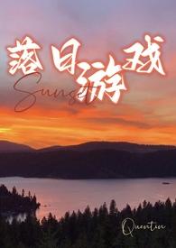 追逐落日游戏