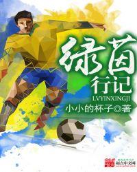 绿茵回忆录
