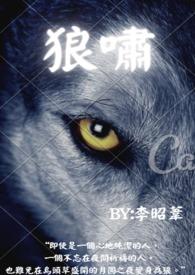 狼啸九天烟花多少钱