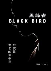 黑金丝雀的腿