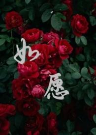 如愿1v1宸棠