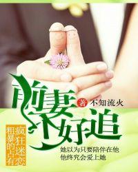 前妻太难追了