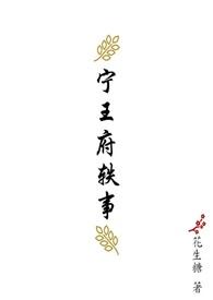 宁王府轶事 男主是谁