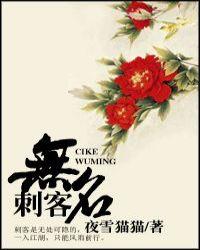 刺客无名txt