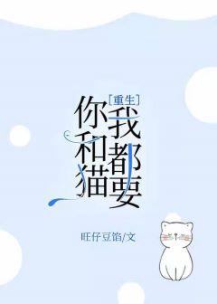 你和我和猫歌曲