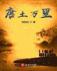 唐土万里 无弹窗