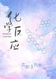 化学反应动力学
