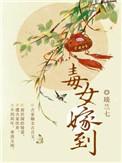 毒女嫁到TXT