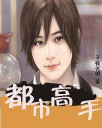 都市高手叶昊