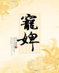 宠婢一叶遮影全文阅读