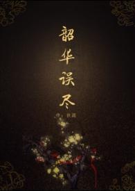 韶华误尽讲了什么