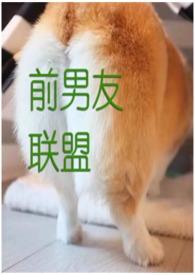 前男友联盟破解