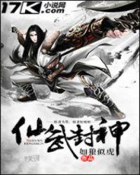 仙武封神 为什么570多张后面没有了