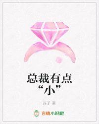 总裁有点小爹的18岁作者苏子