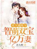 帝少专宠萌妻