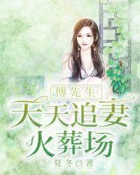 傅先生婚后每天都在吃醋偷马头全文免费阅读