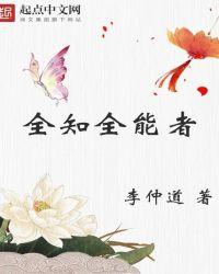 全知全能者视角