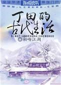 丁田的古代生活阅读