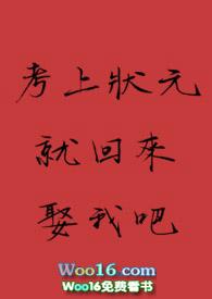 考上状元就回来娶我吧十三至晚