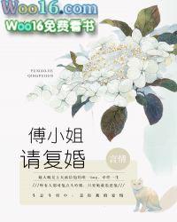 慕小姐傅先生免费阅读