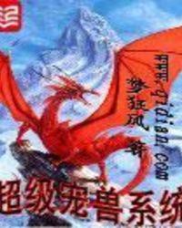 超级宠兽系统TXT
