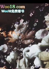 风平浪静是哪个地名