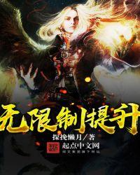 无限制提升类型
