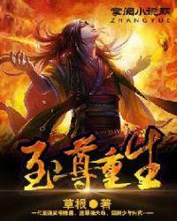 至尊重生等级