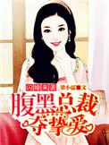 闪婚总裁太腹黑