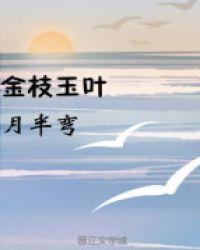 金枝玉叶多久浇一次水合适