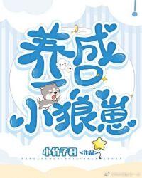 养了一只小狼崽完整