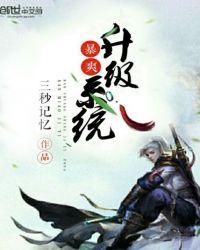 爆爽升级系统