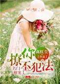名门宠婚甜到齁免费阅读