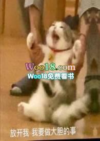 喂猫英语翻译