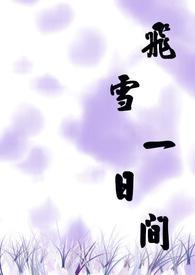 一场飞雪一场梦