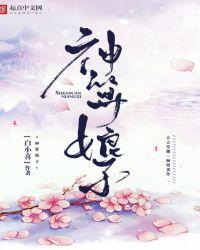 神算子是啥意思