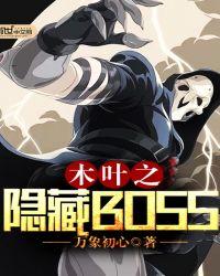 木叶之影流简介