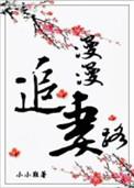 漫漫追妻路谁演的