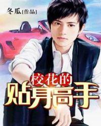 校花的贴身高手多少字