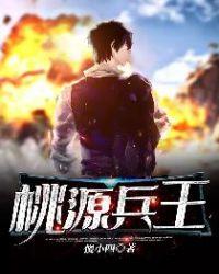 桃源的兵书