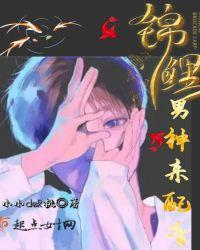 锦鲤配音作品原神