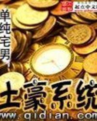 系统土豪流