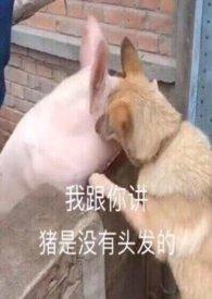 春集山笔趣阁最新章节内容