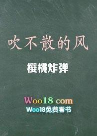 风吹不散是什么歌