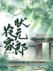 农家状元郎txt