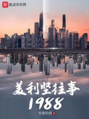 美利坚往事1988就爱言情