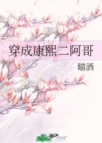 穿成康熙二阿哥全文免费阅读